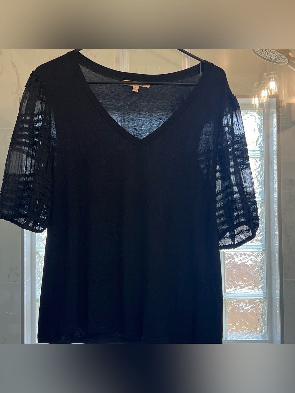 Nine Britton Black V-Neck Short Sleeve Top with Sheer Puff Sleeves